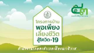 โครงการบ้านพอเพียงเลี้ยงชีวิตสู้โควิด19 สำนักงานเกษตรอำเภอเมืองนราธิวาส จังหวัดนราธิวาส