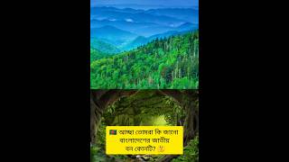 🇧🇩 বাংলাদেশের জাতীয় বন কোনটি? 🤔 #education #banglarchotobhai #shorts #generalknowledge