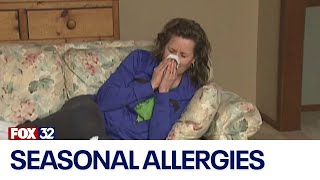 Chicago doctor talks fall allergies, everything you need to know