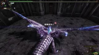 【MHFZ】極み傲るドゥレムディラ撃退　ハンマーソロ2ラスタ