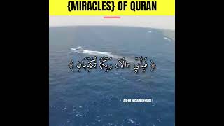 Miracles Of Quran | #shorts #viral #allah #quran #education #islamic