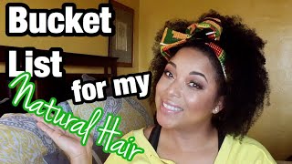 Natural Hair PRODUCTS I WANT TO USE UP IN 2017 | Project Pan 250 | MelissaQ