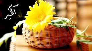 ستوريات الصباح🌼صباح التفاؤل🌼صباح الخير والسعادة🌼#2025🌼#حالات🌼#الصباح🌼#ستوريات_نور🌼