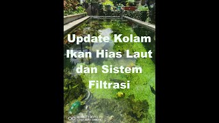 Update Kolam Ikan Hias Air Laut dan Sistem Filtrasi /Update Saltwater Pond Filtration