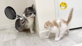 funny Animals video you lough 😂 you loss funniest animals 🤣 funny animals 2025 funn 😂 viralvideo2025