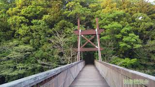 泉の森　公園散歩