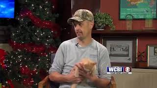 Midday Guest 12/28/18- Pets Without Partners