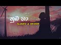 Numba Ha - DILU Beats  / Sinhala slowed and reverb version/ AWI BEATS