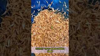 জাপানী লাল রুই মাছের পোনা ৬ মাসে ৩ কেজি🐠 #fishing #fish #viralvideo