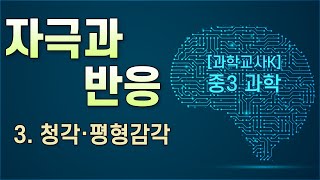 [중3과학] Ⅳ.자극과 반응 - 3.청각·균형감각