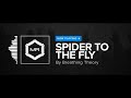 breathing theory spider to the fly hd