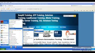 LoadRunner Video Training