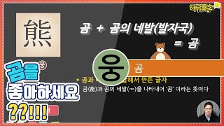 [하루한자] 곰 熊 웅 | 곰을 좋아하시나요?