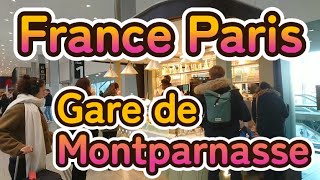 フランス　パリ　モンパルナス駅