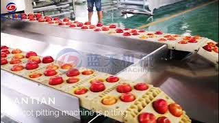 Foreign customers on-site testing high efficiency apricot pitting machine