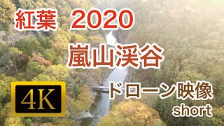 【4K映像ドローン空撮】埼玉の嵐山渓谷 2020.11