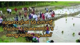 വയനാട്ടിൽ 1 ലക്ഷത്തി 75 അയ്യായിരത്തിന് 50 സെന്റ് സ്ഥലം