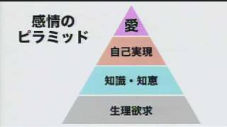 ソフトバンク 新30年ビジョン: 08 - ビジョン 感情のピラミッド