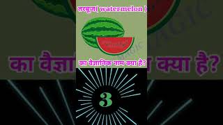 तरबूज का वैज्ञानिक नाम क्या हैं? । watermelon ka scientific name । scientific name of watermelon