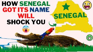 WHY SENEGAL IS CALLED SENEGAL!!!-THE REAL HISTORY THAT GAVE SENEGAL ITS CURRENT NAME!!! Learn today