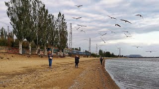 Мариуполь🐬сильный отлив🌊и ветер на море