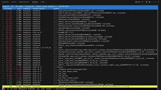 Debugging and Optimizing C++ Code