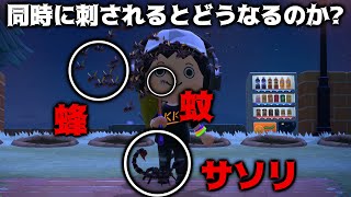 【あつ森】サソリと蜂と蚊に同時に刺されるとどうなるのか検証してみた【あつまれどうぶつの森】