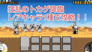 にゃんこ大戦争　狂乱のトカゲ降臨　哺乳類？　超激ムズ　ノーアイテムレアキャラ1種攻略！！