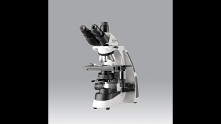 Dewinter Biological Trinocular Microscope Model: Crown