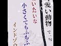 シクフォニ様ファンミ（いる、なつ、みこ！）の句.ᐟ（初投稿！） シクフォニ シクフォニ切り抜き