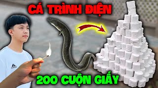 Quý11N | Thử Nướng “Cá Trình Điện” Với 200 Cuộn Giấy VS ( Grilling “Electric Fish” With 200 Paper )