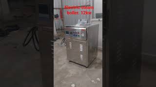 electric steam boiler 12 kw