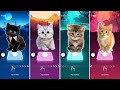 CUTE CATS WEDNESDAY LADY GAGA BLOODY MARY and BLACKPINK LISA MONEY and JISOO FLOWER vs CAT WELLERMAN