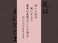 〈127〉日蓮聖人に学ぶ『報恩抄』｢花は根にかえり 真味は土にとどまる｣ shorts