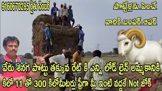 వేరుశనగ పొట్టు తక్కువ రేటుకే కిలో 11తో 300 కిలోమీటర్లు ఫ్రీ గా మీ ఇంటి వద్దకే బంపర్ ఆఫర్#rktelugutra