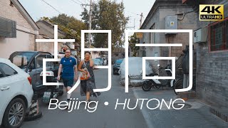 【4K】| Lost in Hutongs | Beijing Hutong | 走街串巷——穿行北京胡同