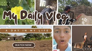 મારી વાડી અને નવા મહેમાન ચકુ બહેન નો બ્લોગ #farming blog video#