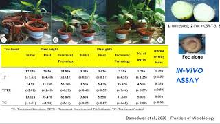 Session D - Field management strategy to control Fusarium wilt disease, T. Damodaran