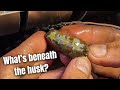 Grinding the Husk off an Agate.. What's inside?!