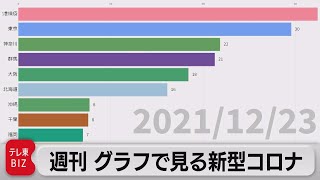 「空港検疫が最多に」週刊グラフで見る新型コロナ（2021年12月24日）