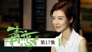 《青恋》 第17集 姚新海受指使与林深作对 林深临危接手姚新海烂摊子 （主演：郭京飞、车晓）| CCTV电视剧