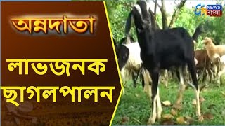 লাভজনক ছাগলপালন | ANNADATA | 7th November 2017 |  ETV NEWS BANGLA