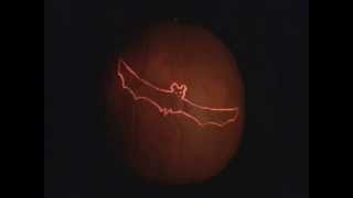 Animated flying bat, carved on a pumpkin