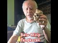 temuan batu mirip tengkorak shortsvideo