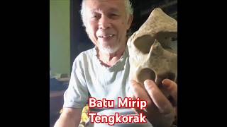 Temuan Batu Mirip Tengkorak #shortsvideo