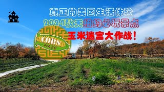 UP主勇闯迷魂阵，全纽约最大玉米迷宫阵。2024秋季必玩景点就在纽约皇后区