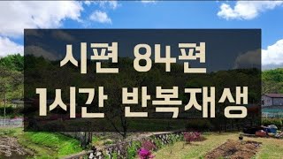 시편 84편 1시간 반복재생