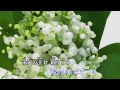 【オリジナル曲】すずらんの花が咲く頃　歌唱：山口えい子 doenka eiko