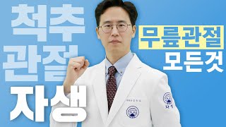 퇴행성관절염에 대한 모든것! 자생한방병원 노하우 총집합 (원인/통증/자가진단/비수술치료법)