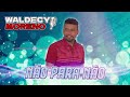 Waldecy Moreno - Não Para Não